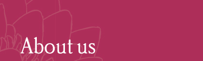 about us